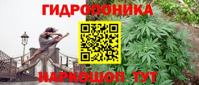 крисы Рязань
